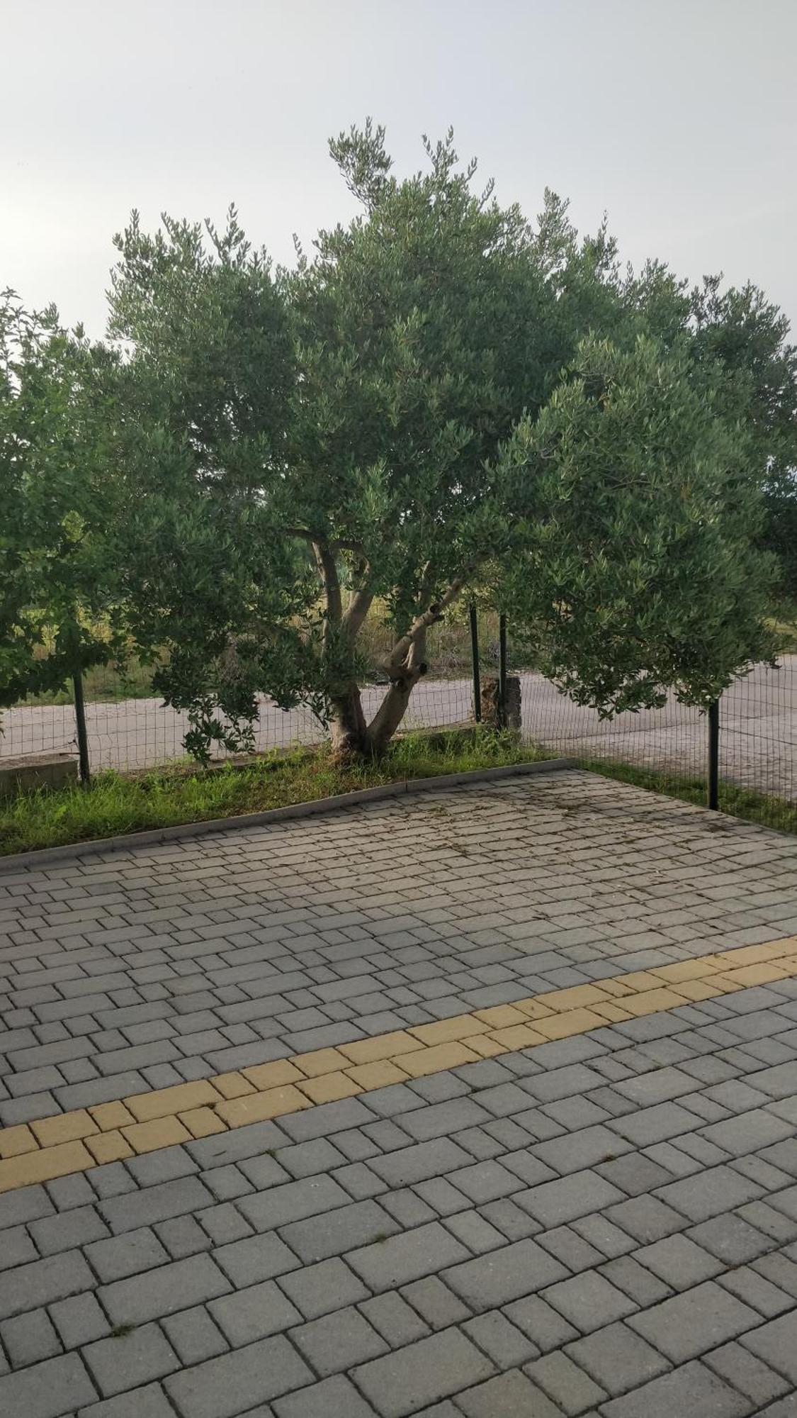 Apartmán Lavinia