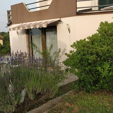Apartment Lavinia Zadar Exterior photo